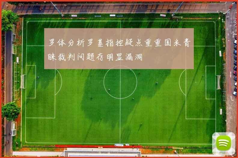 罗体分析罗基指控疑点重重国米青睐裁判问题存明显漏洞